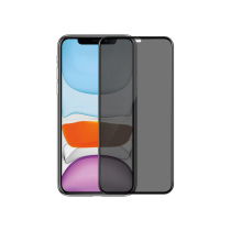 Vetro Temperato Pixel 10 Pro XL (Privacy)