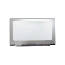 Pannello LED 17.3" - 1920x1080 - 30 Pin Destra (Opaco)