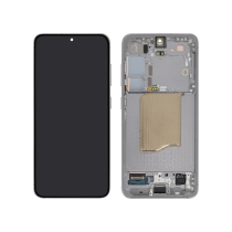 Display completo Grigio Galaxy S25 (S931B) (PA)